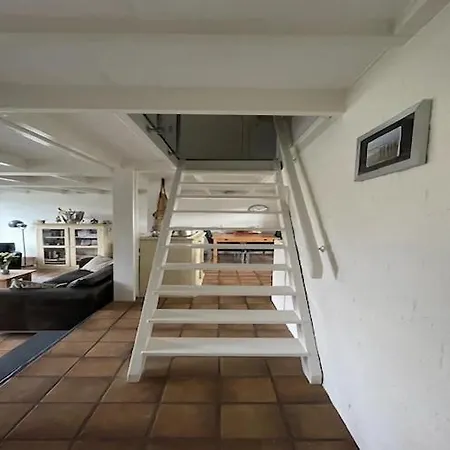 Near Dunes * Warmenhuizen