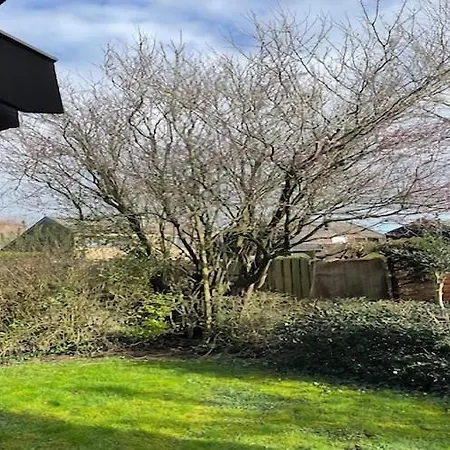 Near Dunes * Warmenhuizen