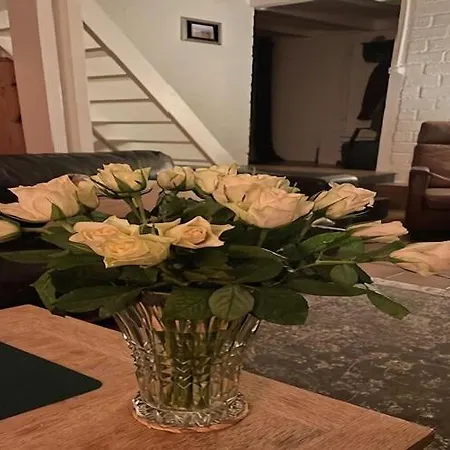 Near Dunes Feriehus *