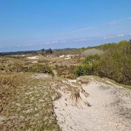 Near Dunes Warmenhuizen