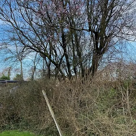 Feriehus Near Dunes *