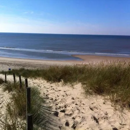 Near Dunes Warmenhuizen