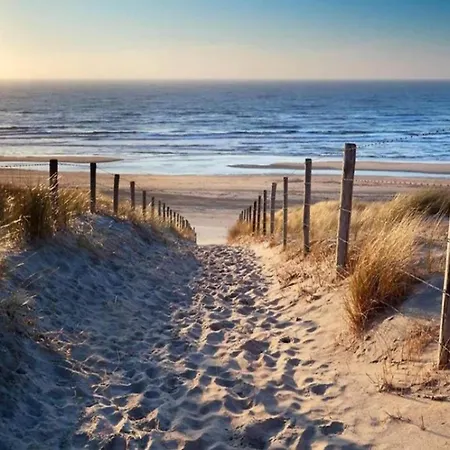 Near Dunes * Warmenhuizen